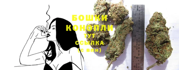 трава Верея