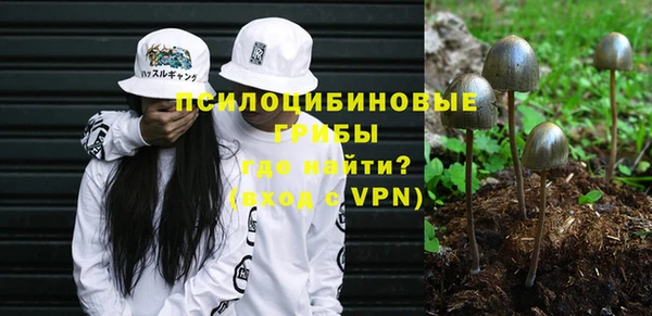 трава Верея
